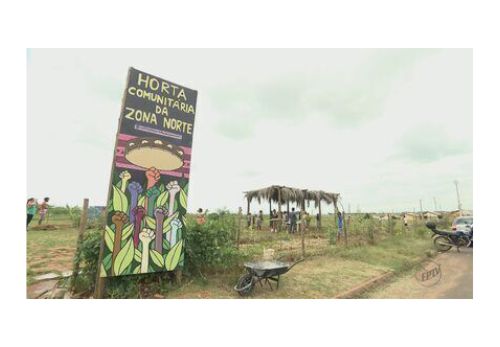 Horta Comunitária da Zona Norte de Araraquara